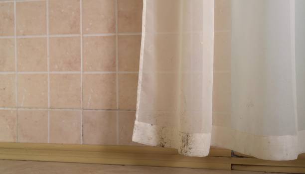 Best Asbestos and Lead Testing During Mold Inspection  in Narberth, PA