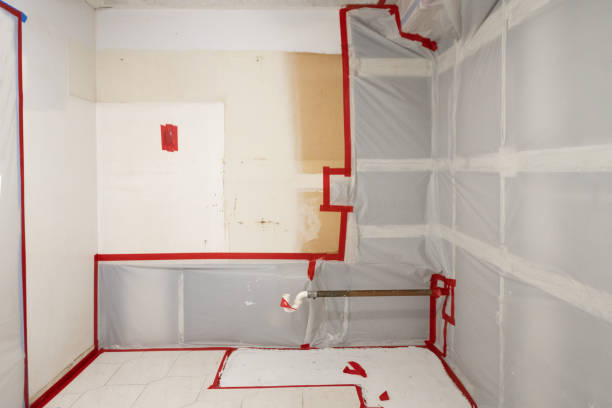 Best Emergency Mold Remediation  in Narberth, PA