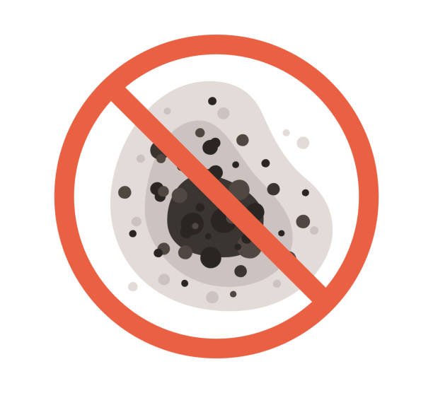  Narberth, PA Mold Removal Pros