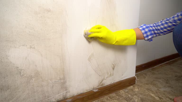 Best Indoor Air Quality Assessment  in Narberth, PA