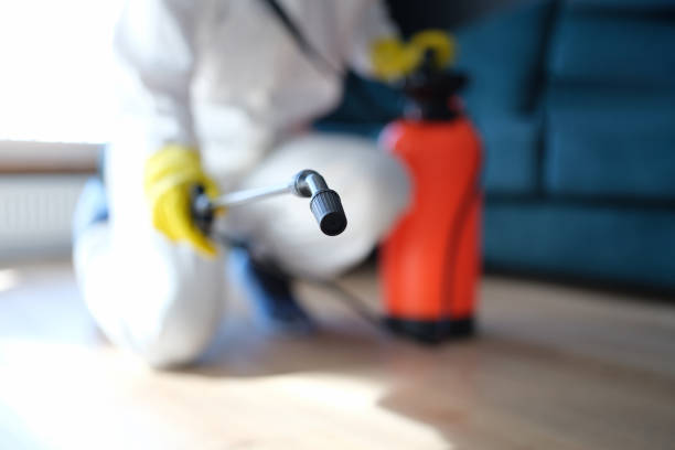 Forensic Mold Investigation in Narberth, PA