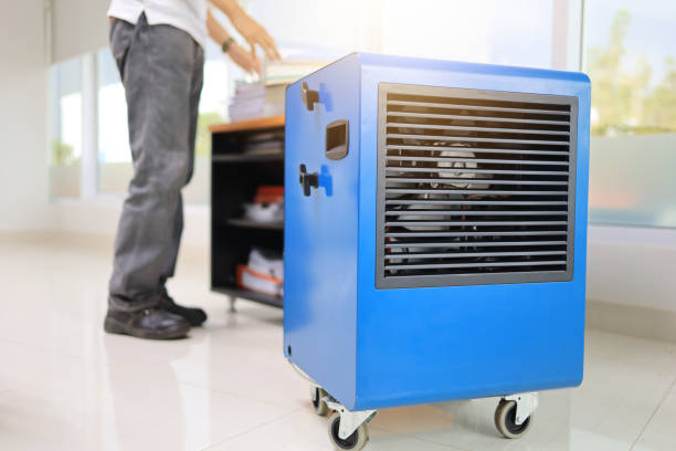 Best Basement Mold Removal  in Narberth, PA