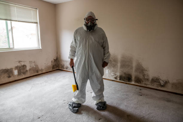 Best Residential Mold Inspection & Testing  in Narberth, PA