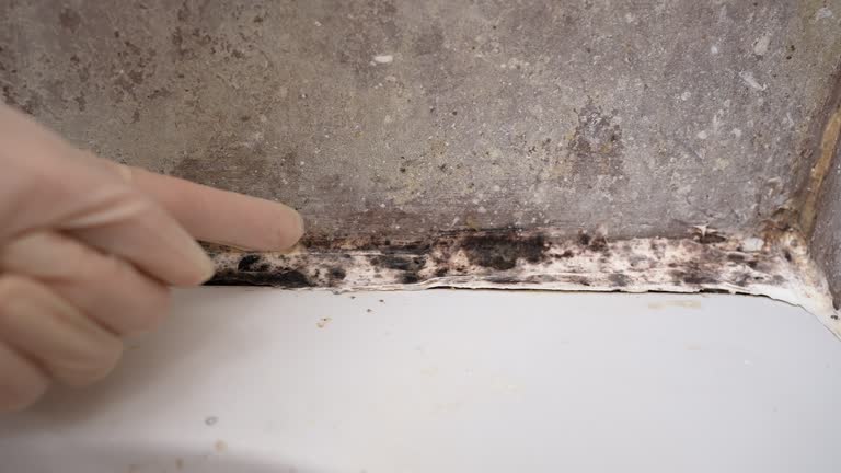 Best Post-Remediation Verification Testing  in Narberth, PA